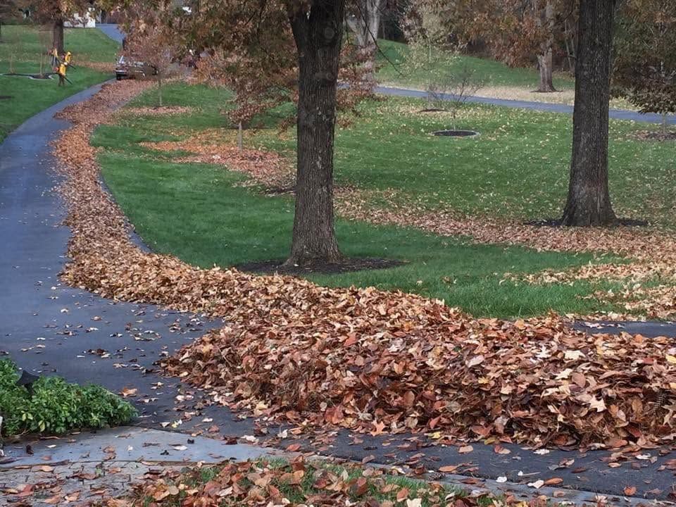 leaf removal services