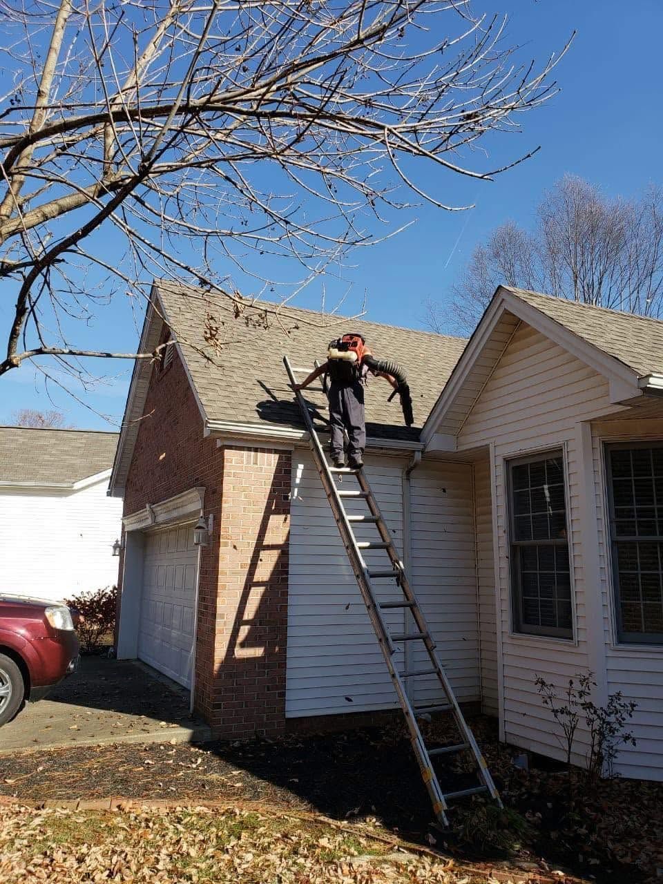 gutter cleaning
