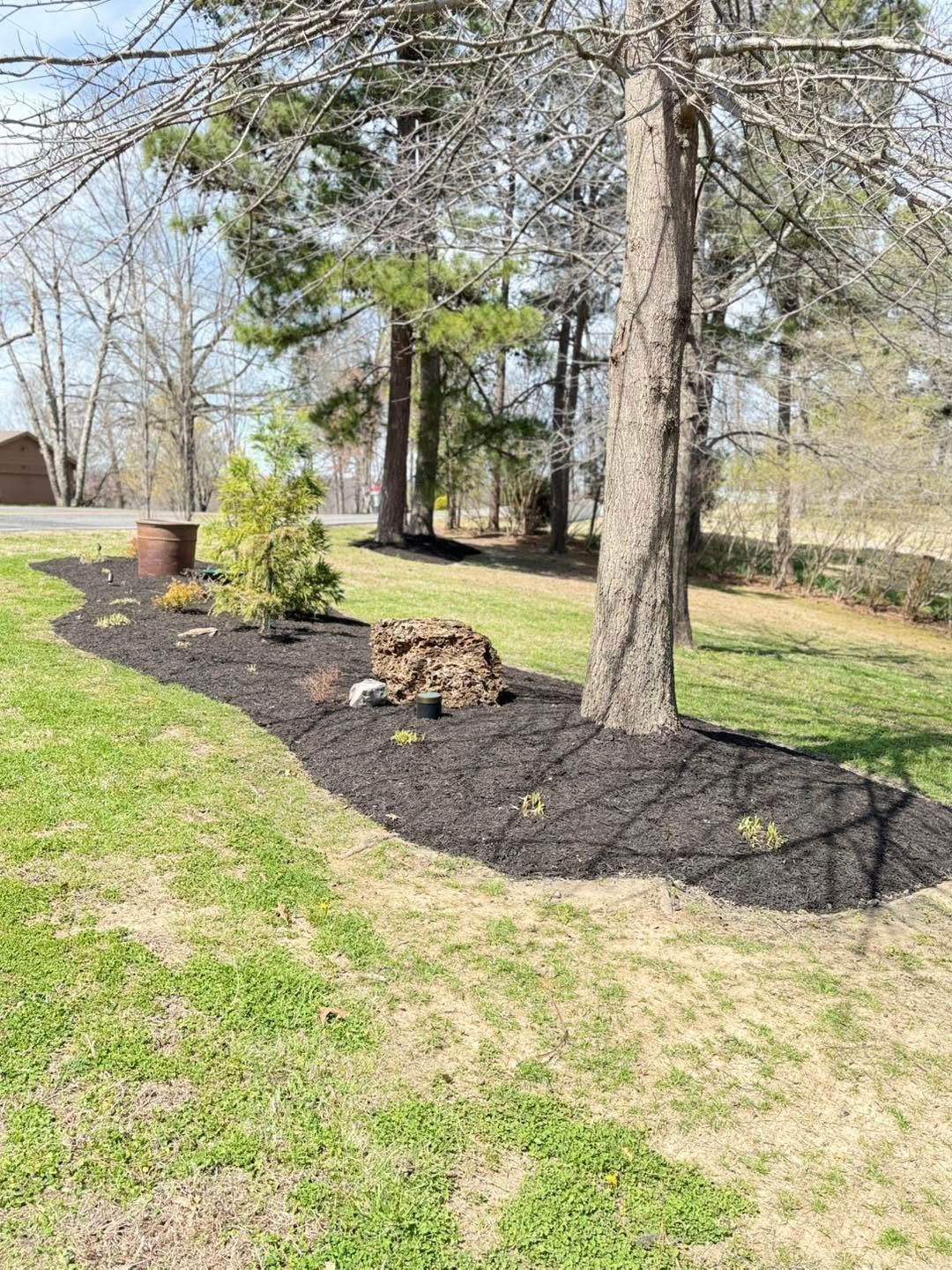 shade flower beds