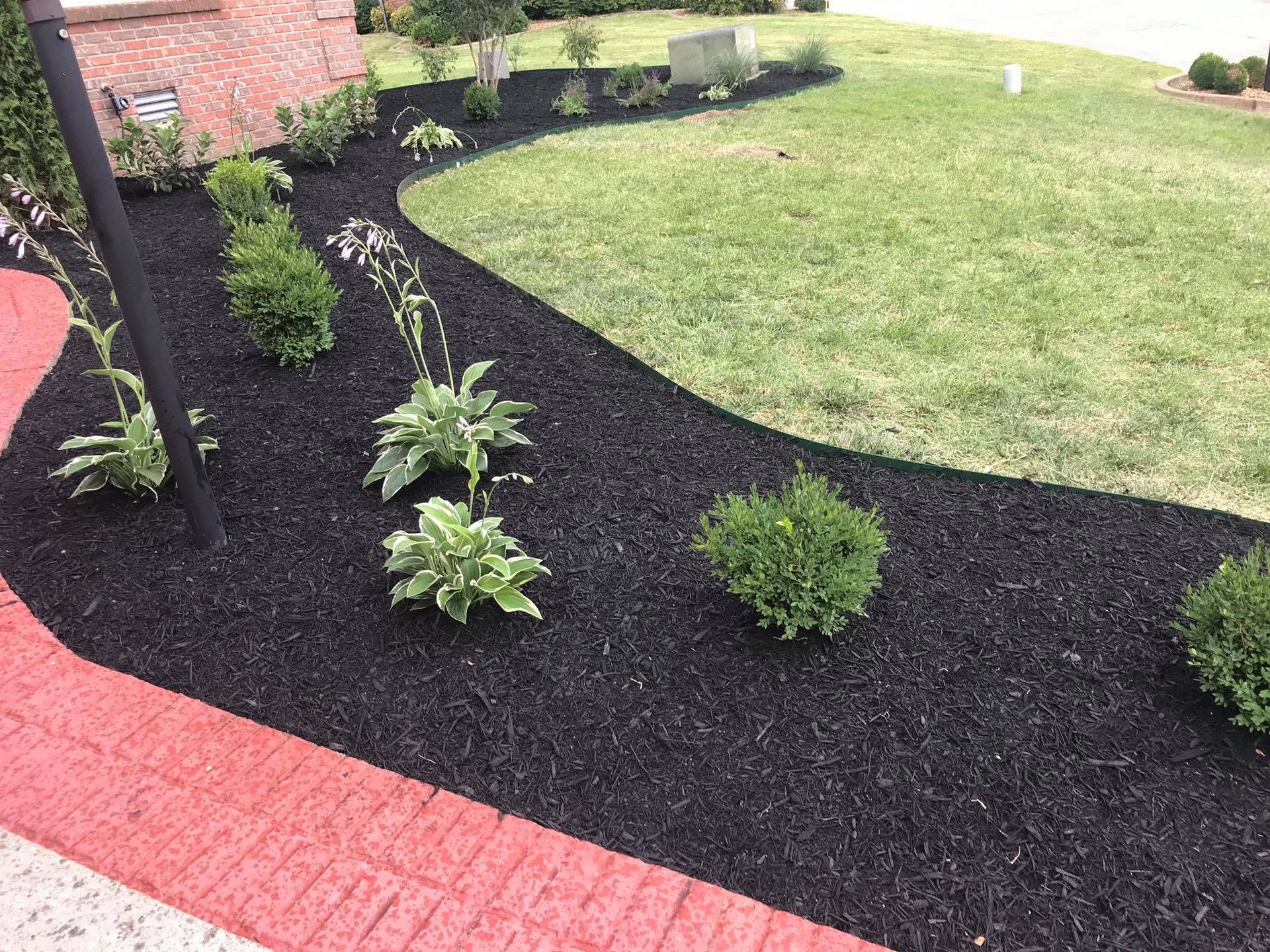 flowerbed with dark brown mulch with hostas and shrubs