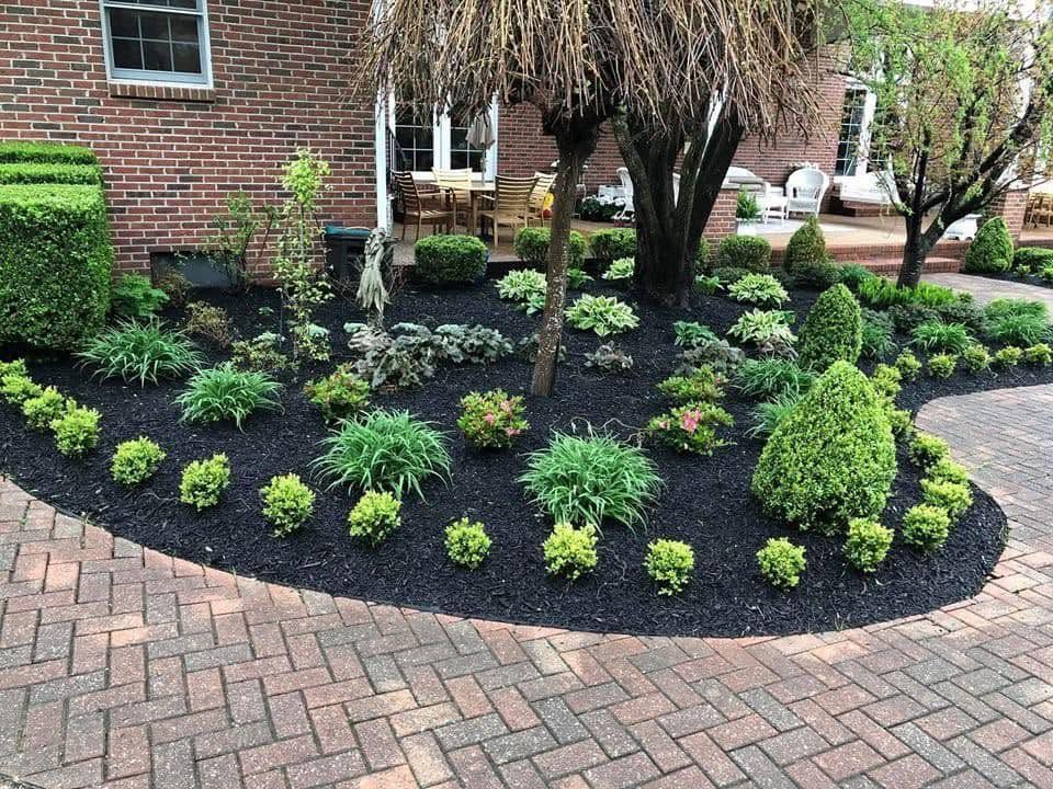 flowerbed with evergreen shrubs and trees