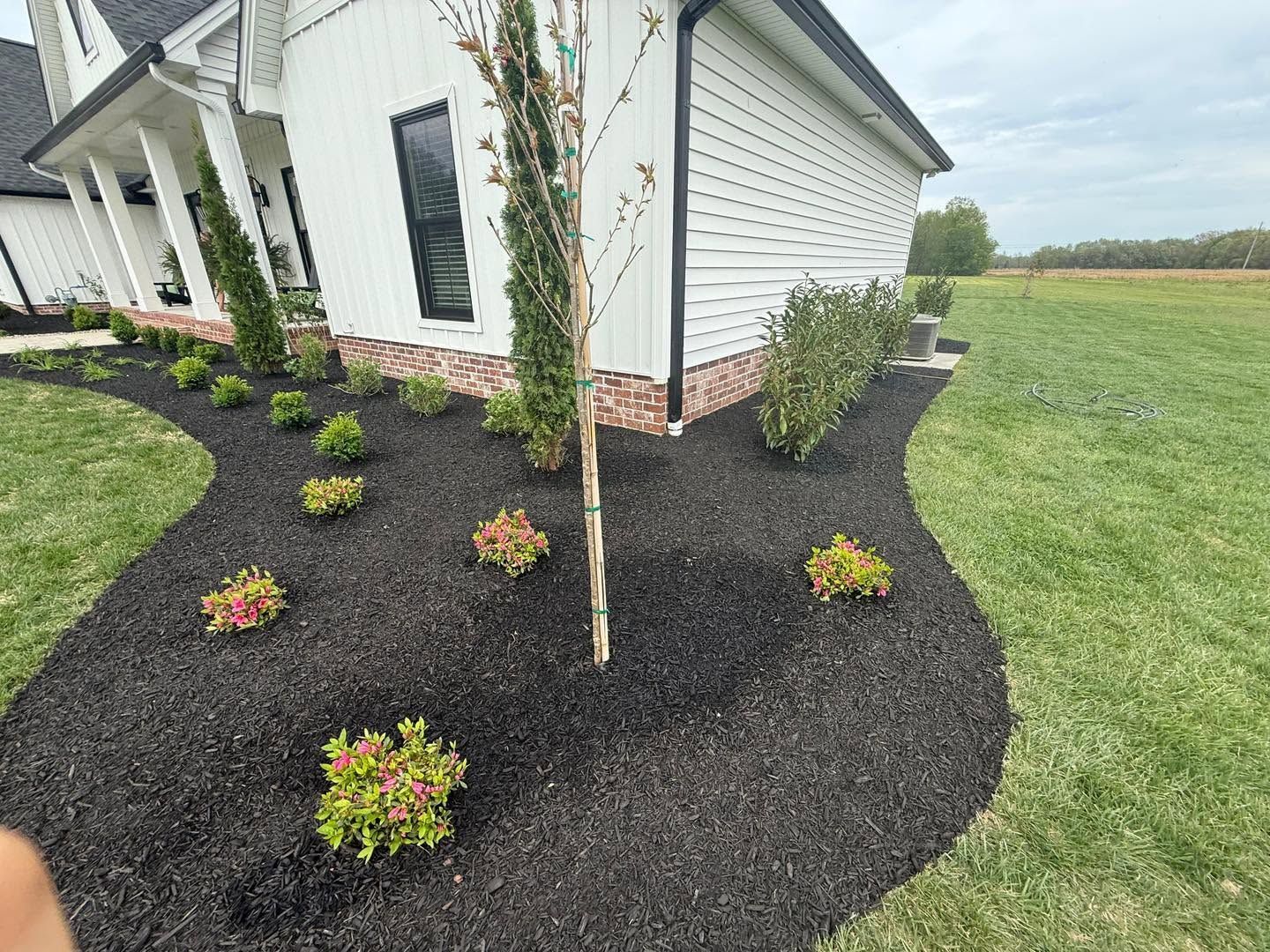 flowerbed with brown mulch