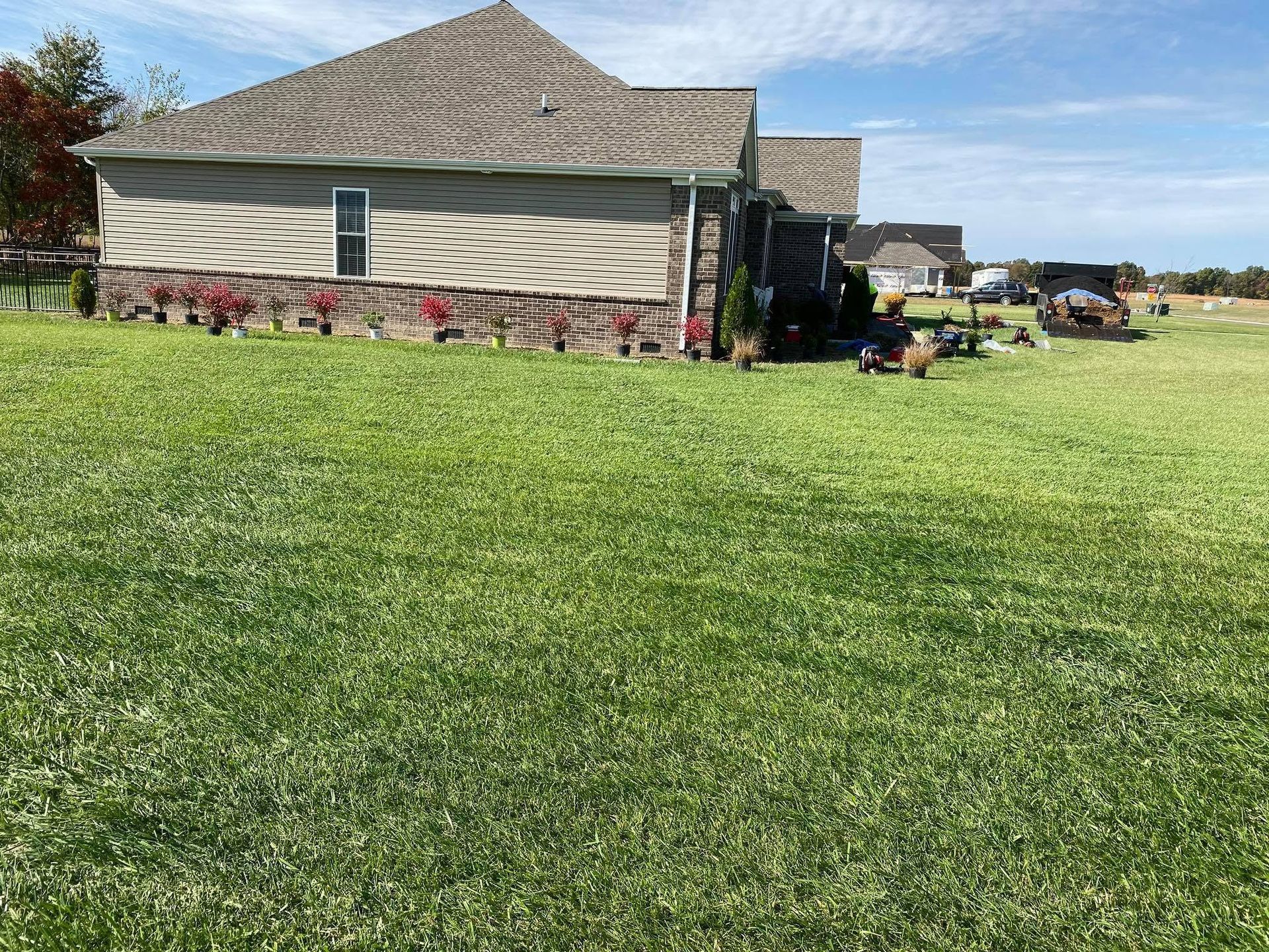 lawn care