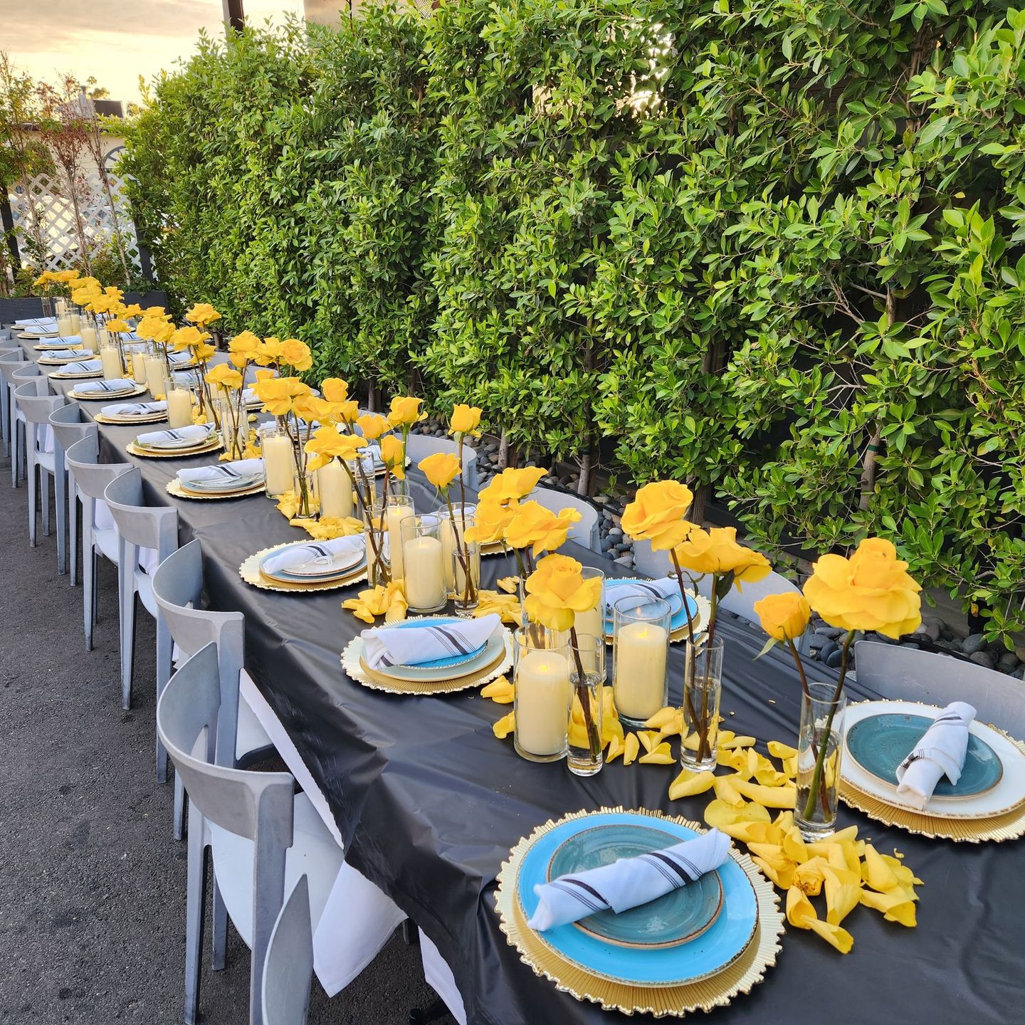 daytime party table setting, outdoors with yellow roses and a table along a wall of shrubs
