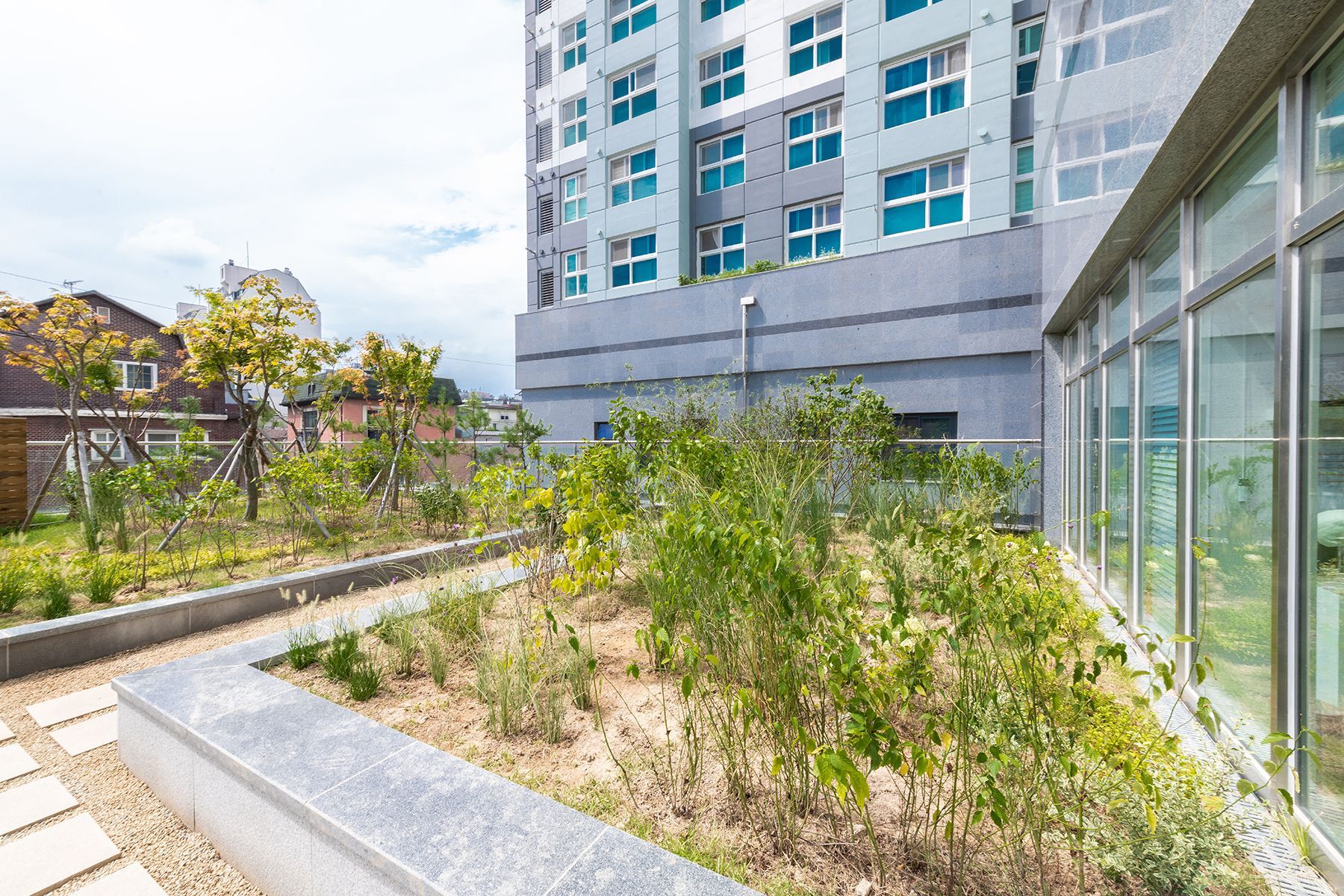 Rooftop garden with plants and building in the background under a partly cloudy sky.