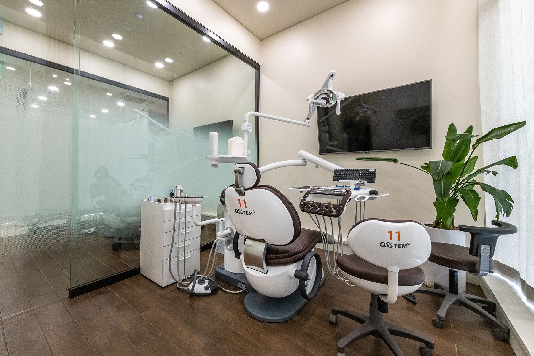 Dental office with a chair, tools, and a plant.