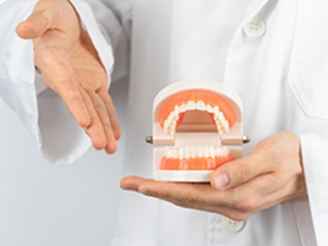 Dentist holding a model of dentures, pointing, white coat.