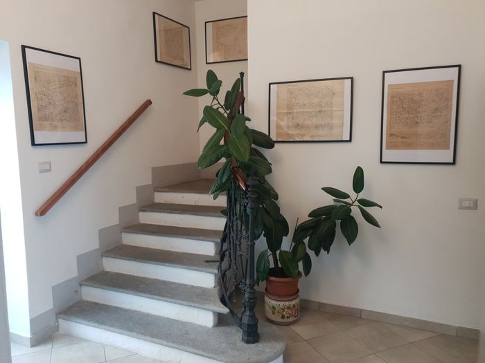 ingresso studio legale