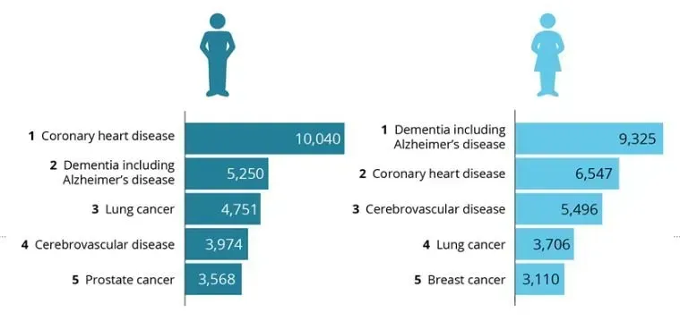 Men's Health Facts