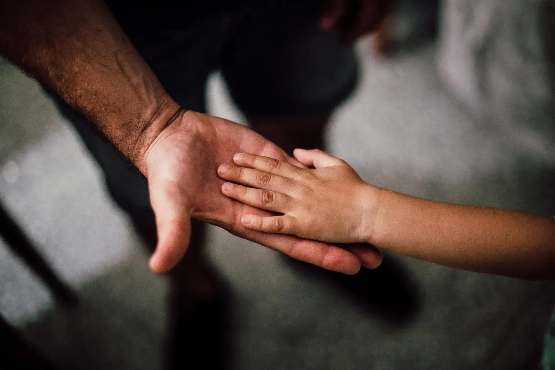 Understanding Zones of Emotional Regulation | Growlife Medical