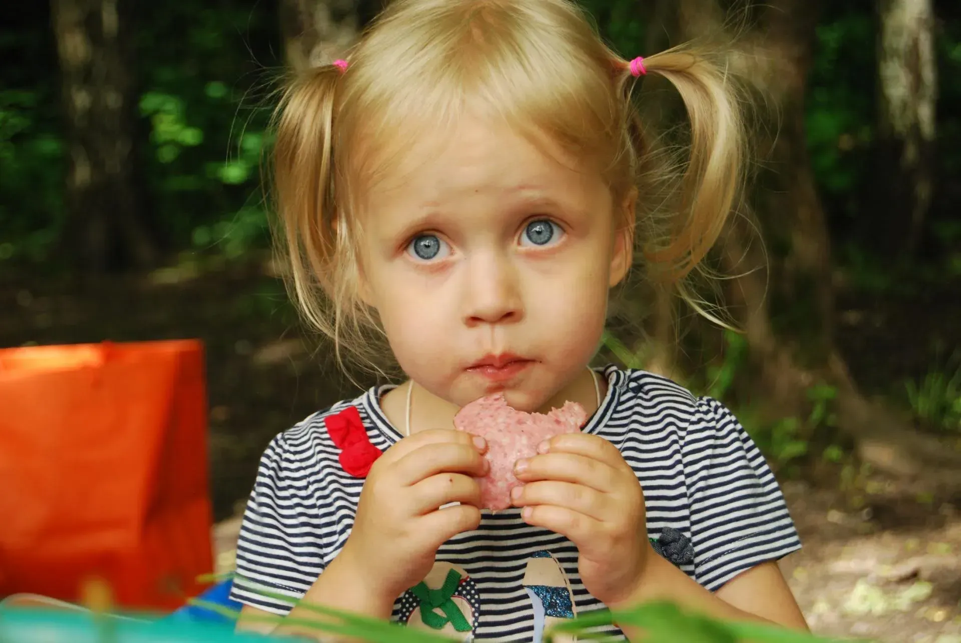 Healthy Lunch Boxes For School Kids | Growlife Medical