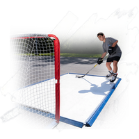 Inline hockey player shooting on a synthetic rink beside the goal