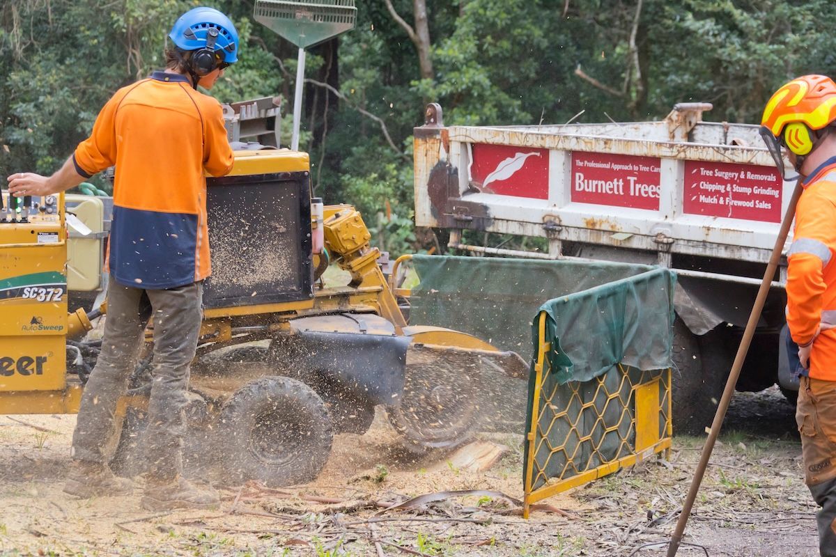 A Stump Grinder Is Cutting a Tree Stump in The Ground — Burnett Trees in Kiama, NSW