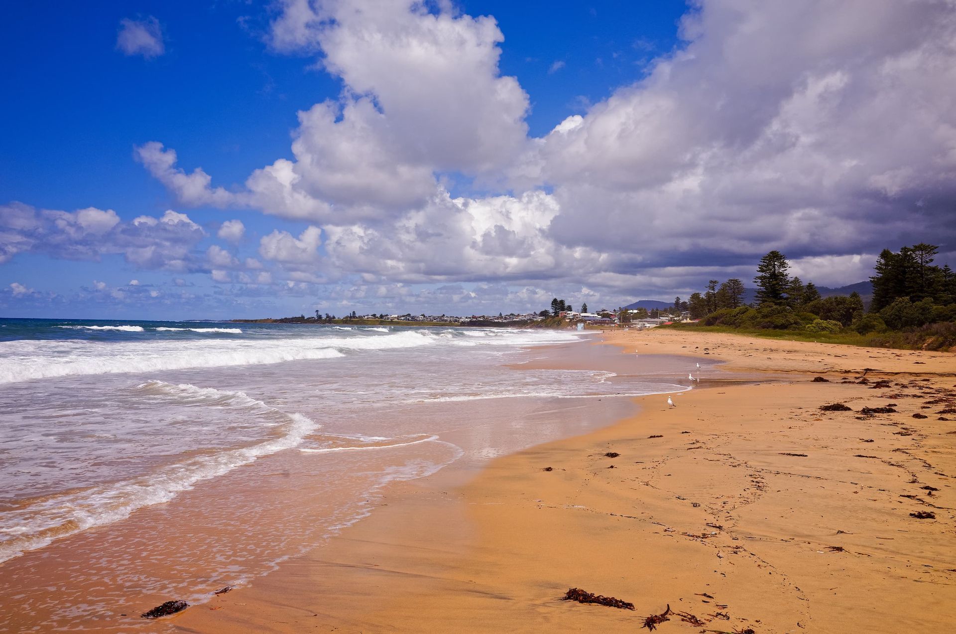 Beach Scene with Blue Sky White Clouds and Ocean Waves — Burnett Trees in Thirroul, NSW
