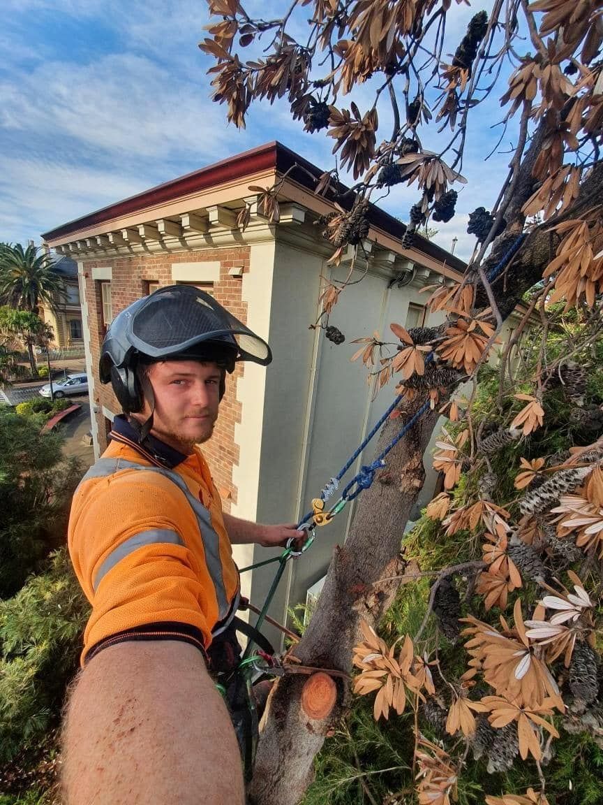 Person in Orange Shirt and Helmet Trimming Tree Branches — Burnett Trees in Wollongong, NSW
