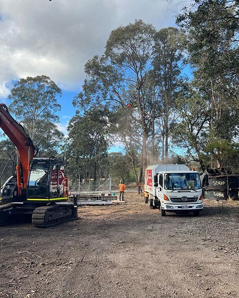 A Truck and An Excavator Are Parked in A Dirt Lot — Burnett Trees in Shellharbour, NSW