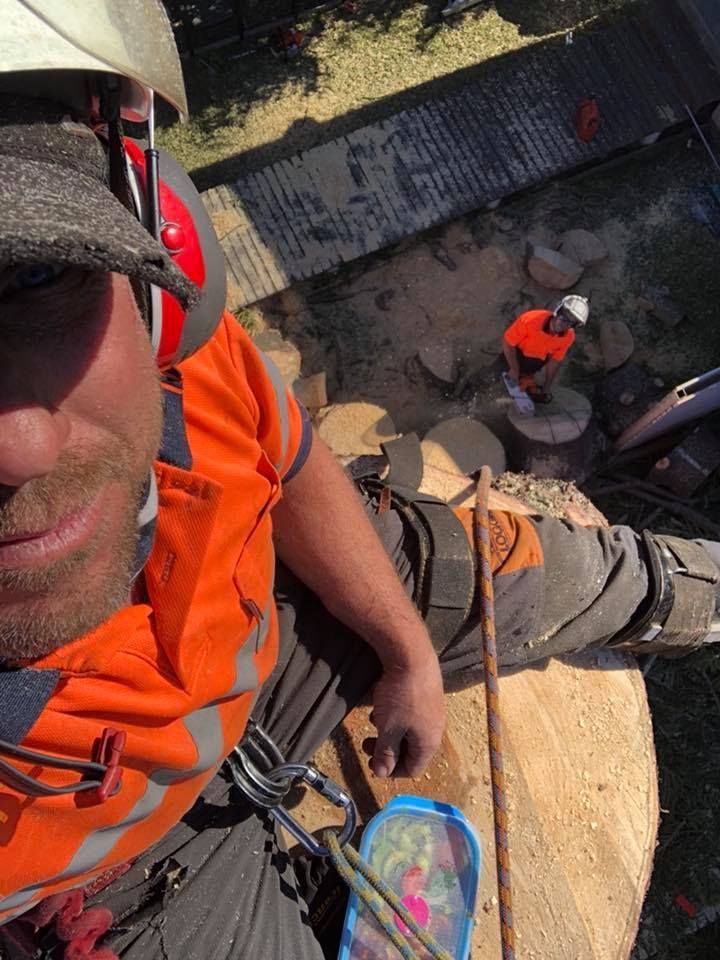 A Man Wearing a Hard Hat Is Sitting on A Tree Stump — Burnett Trees in Albion Park, NSW