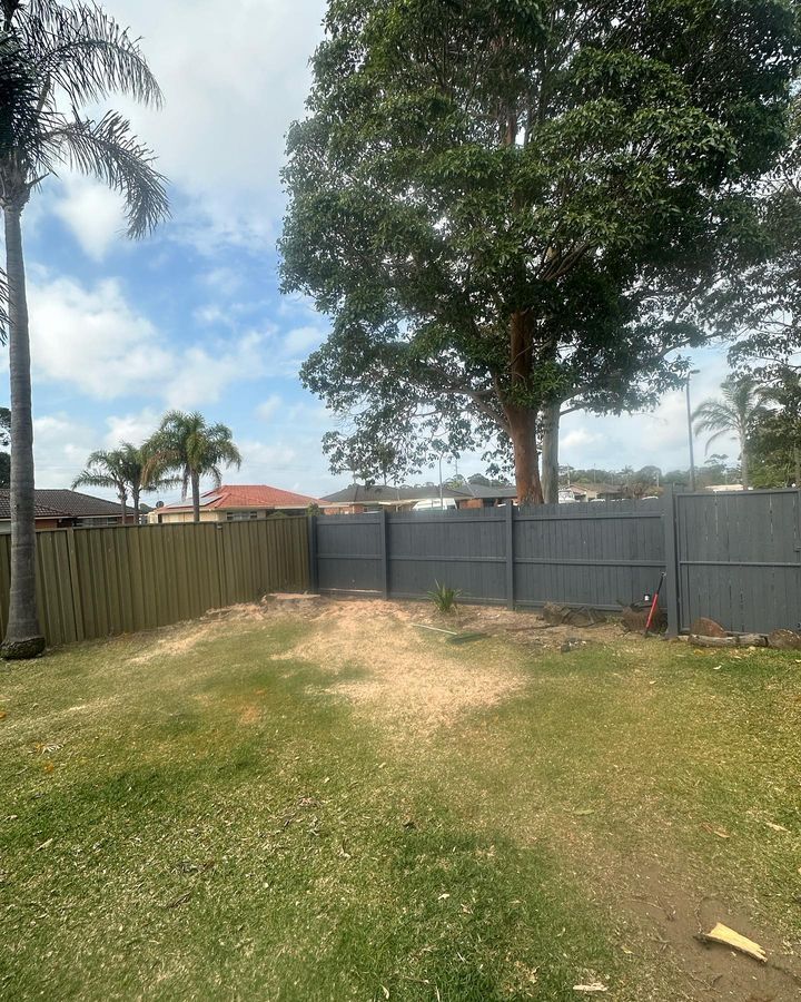 A Backyard with A Fence and Trees in The Background — Burnett Trees in Kiama, NSW