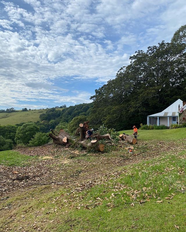 A Group of People Are Standing in A Field with A House in The Background — Burnett Trees in Kiama, NSW