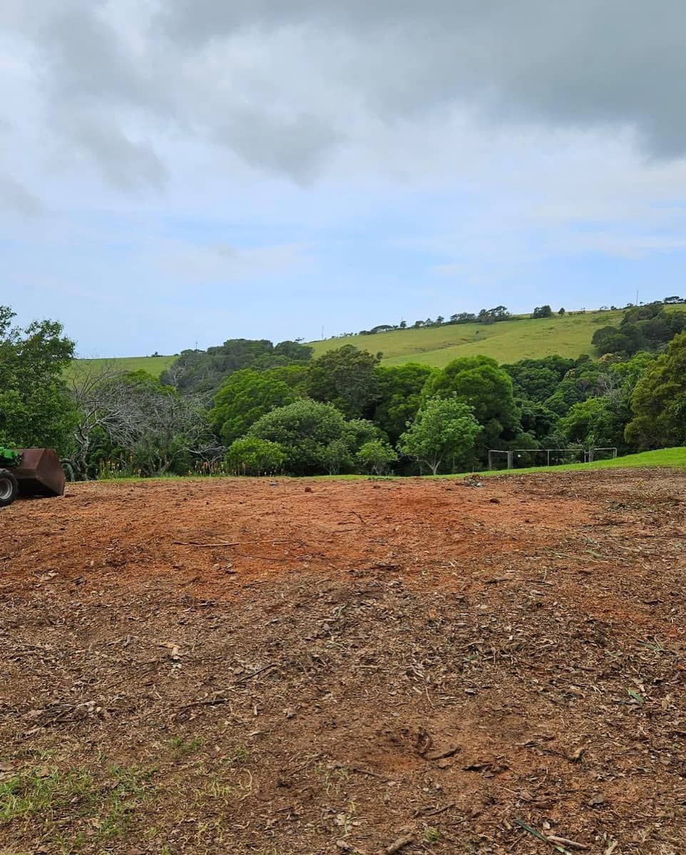 Bare, Reddish Dirt Foreground With Green Trees — Burnett Trees in Wollongong, NSW