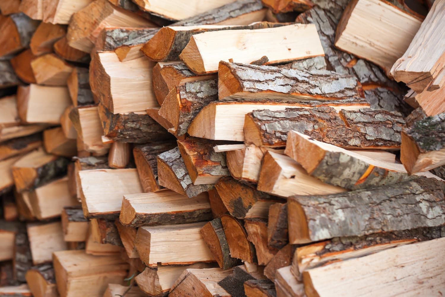 A Pile of Logs Is Stacked on Top of Each Other — Burnett Trees in Kiama, NSW