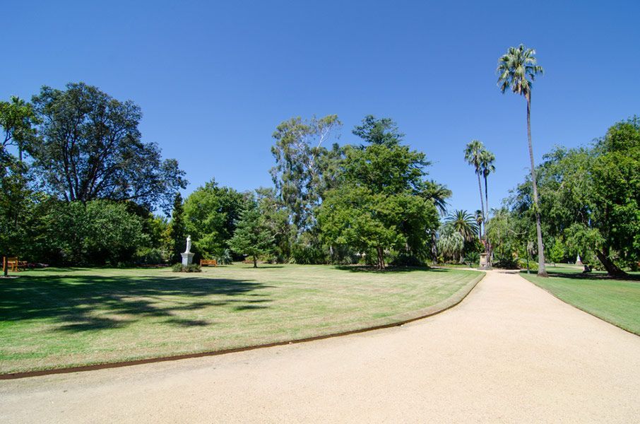 A Dirt Path in A Park Surrounded by Trees on A Sunny Day — Burnett Trees in Albion Park, NSW