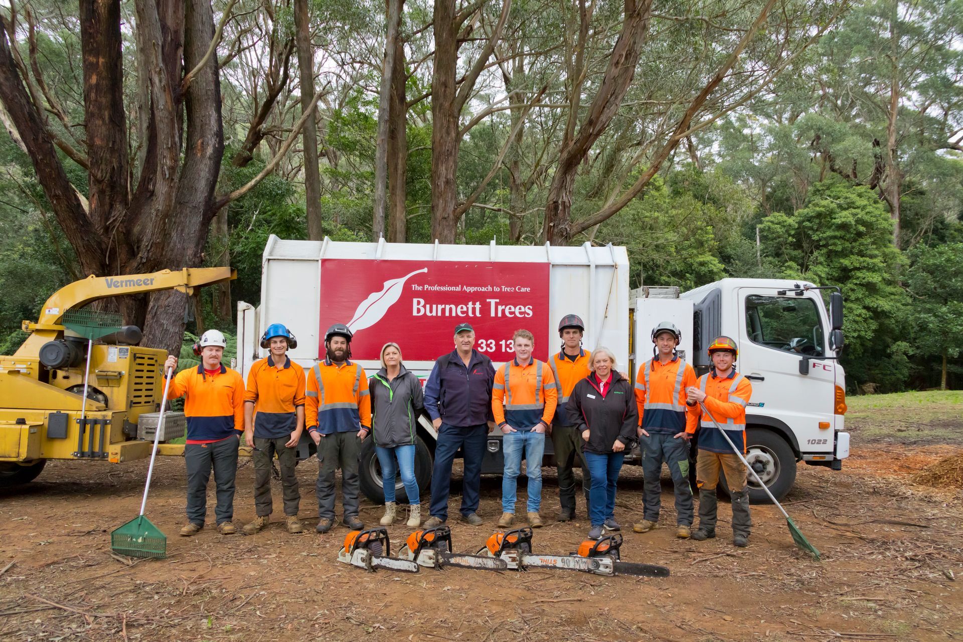 A Man Is Standing in A Lift Cutting a Tree — Burnett Trees in Kiama, NSW