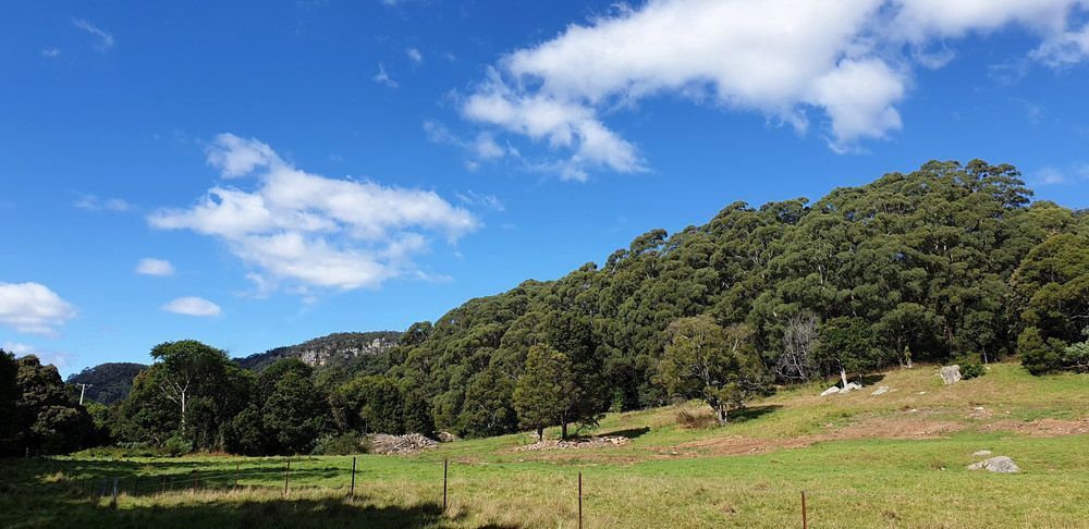 A Fenced-in Field with Trees and Mountains in The Background on A Sunny Day — Burnett Trees in Jamberoo, NSW