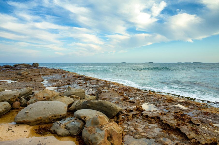 There Are a Lot of Rocks on The Beach Near the Ocean — Burnett Trees in Wollongong, NSW