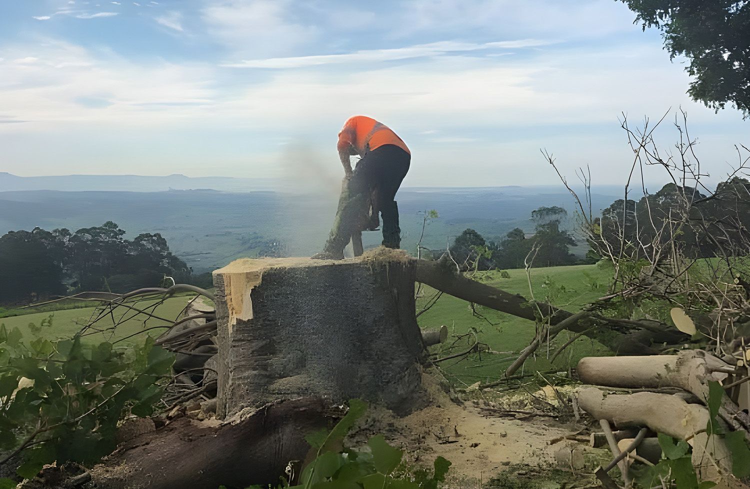 A Person Wearing High-visibility Orange Workwear — Burnett Trees in Nowra, NSW