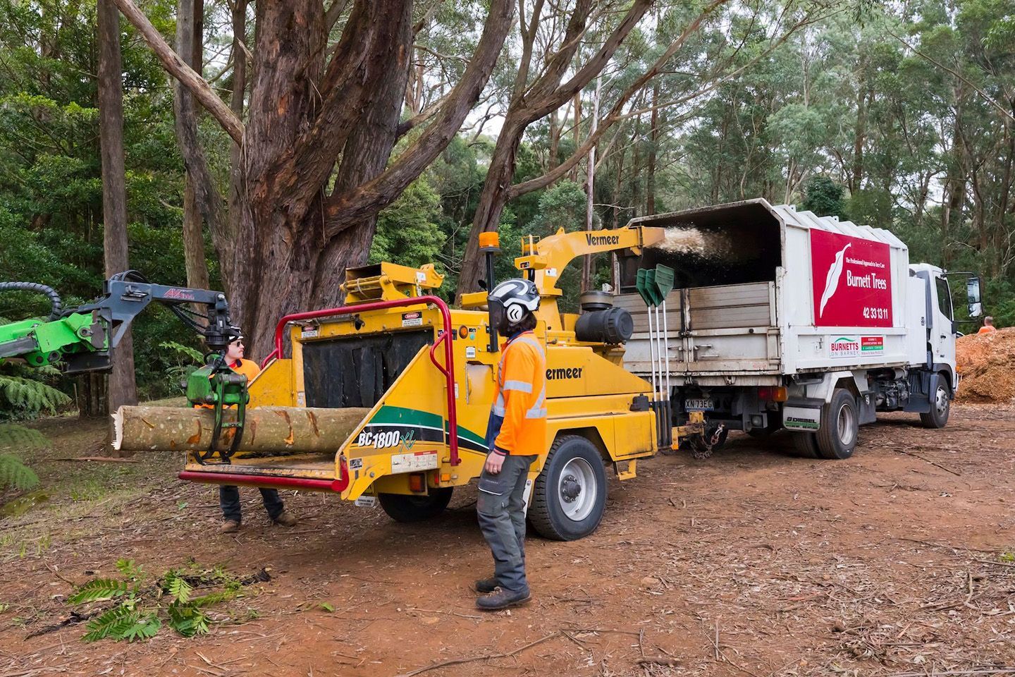Professional Arborist Team Using a Wood Chipper to Process Logs — Burnett Trees in Nowra, NSW