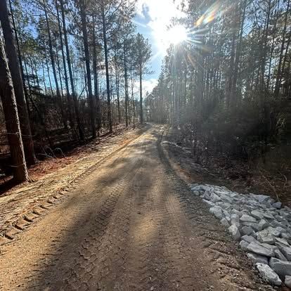 Sunny dirt road through a pine forest, with tire tracks and snow patches along the right edge.
