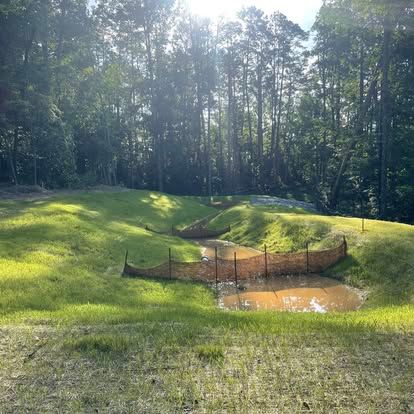 Grassy pond bordered by a low fence in a sunlit forest clearing
