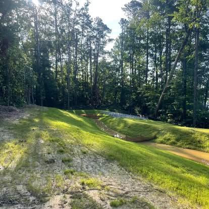 Sunny wooded dirt bike track with grassy berms and tall trees surrounding it