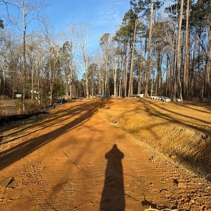 Sunny dirt road or trail through a leafless forest, with a long shadow in the foreground.