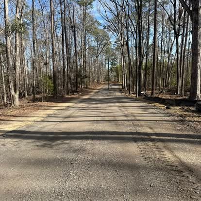 Empty dirt road through a leafless forest under a clear blue sky