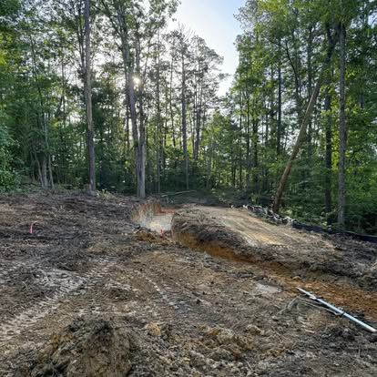 Cleared dirt path and exposed earth in a wooded forest area with tall trees