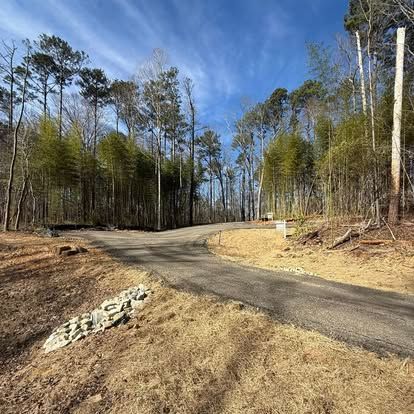 Winding paved road through a cleared forest under a bright blue sky