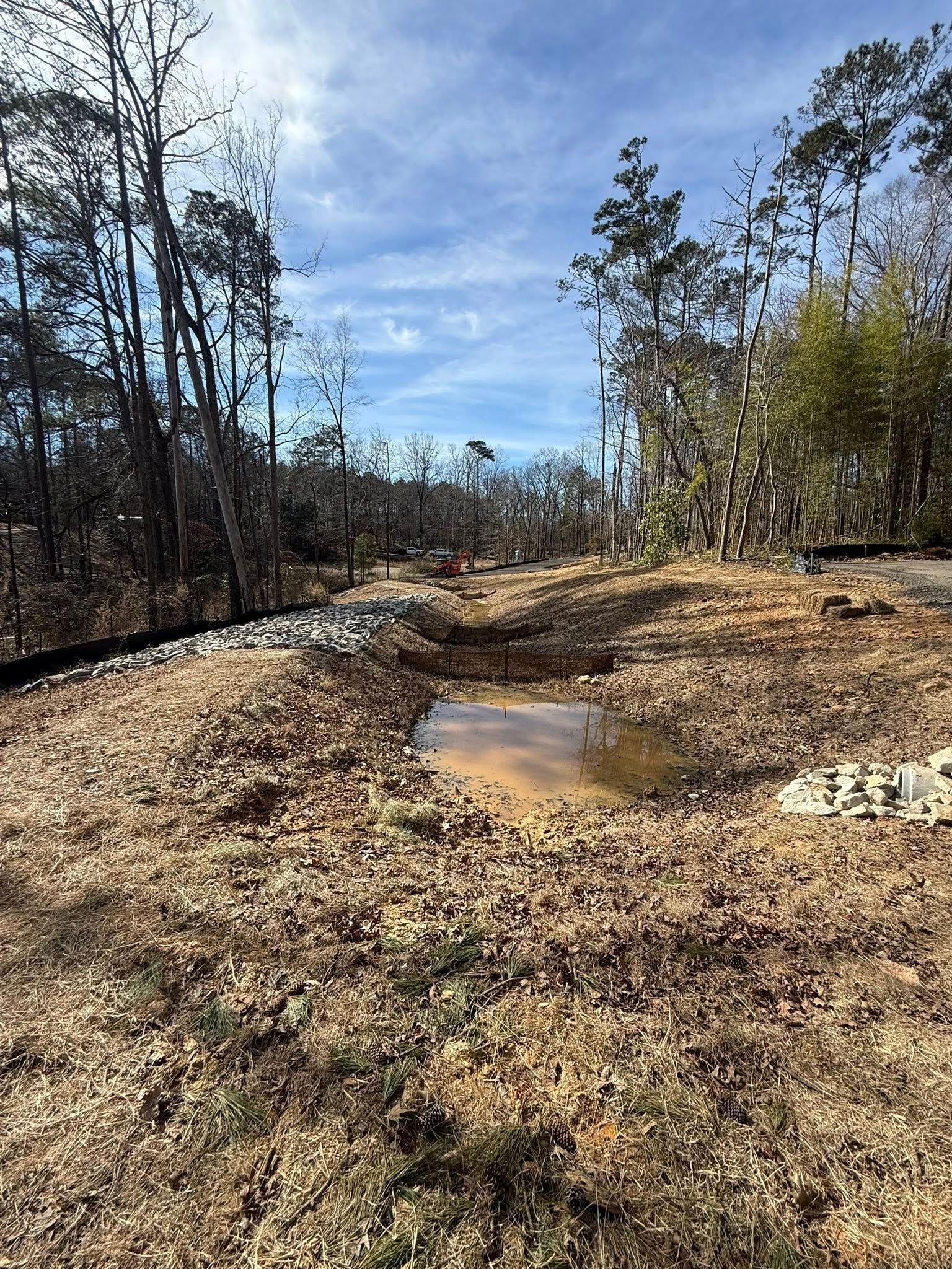 Muddy dirt trail with a small puddle, bordered by sparse trees under a cloudy blue sky