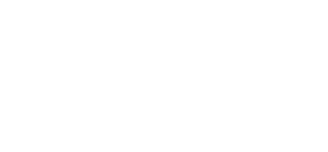 Mostly blank white image with a thin black-and-gray line along the bottom edge