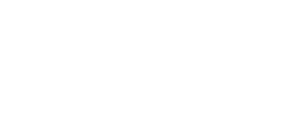 Mostly blank white image with a thin black-and-gray line along the bottom edge