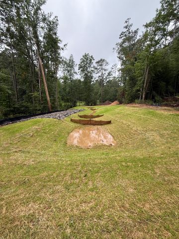 Grassy field with two muddy patches, trees along the edge, and a dirt path under cloudy skies