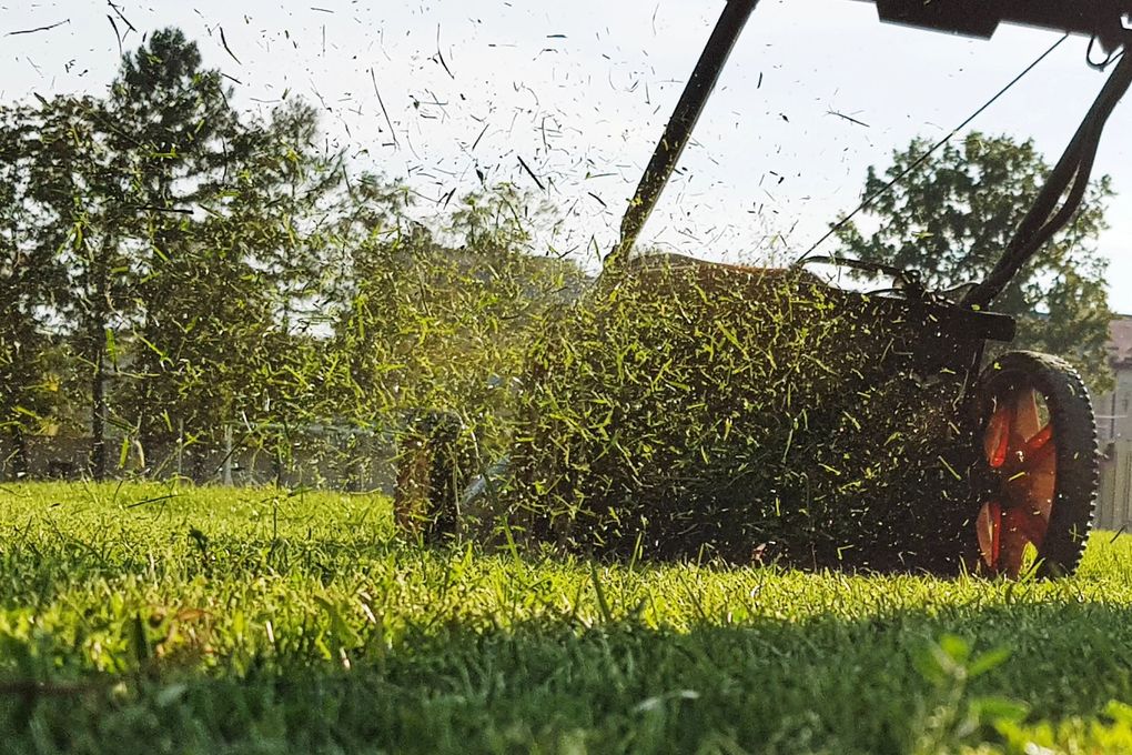 Un irrigatore innaffia un prato verde sotto il sole splendente, con gocce d'acqua che schizzano ovunque.
