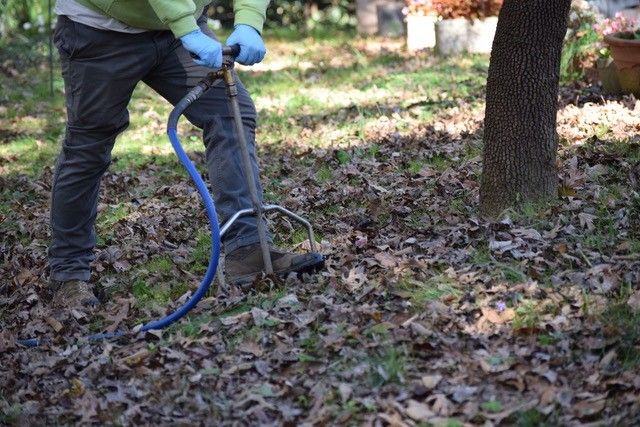 Pest Control — Tree Care in Nashville, TN