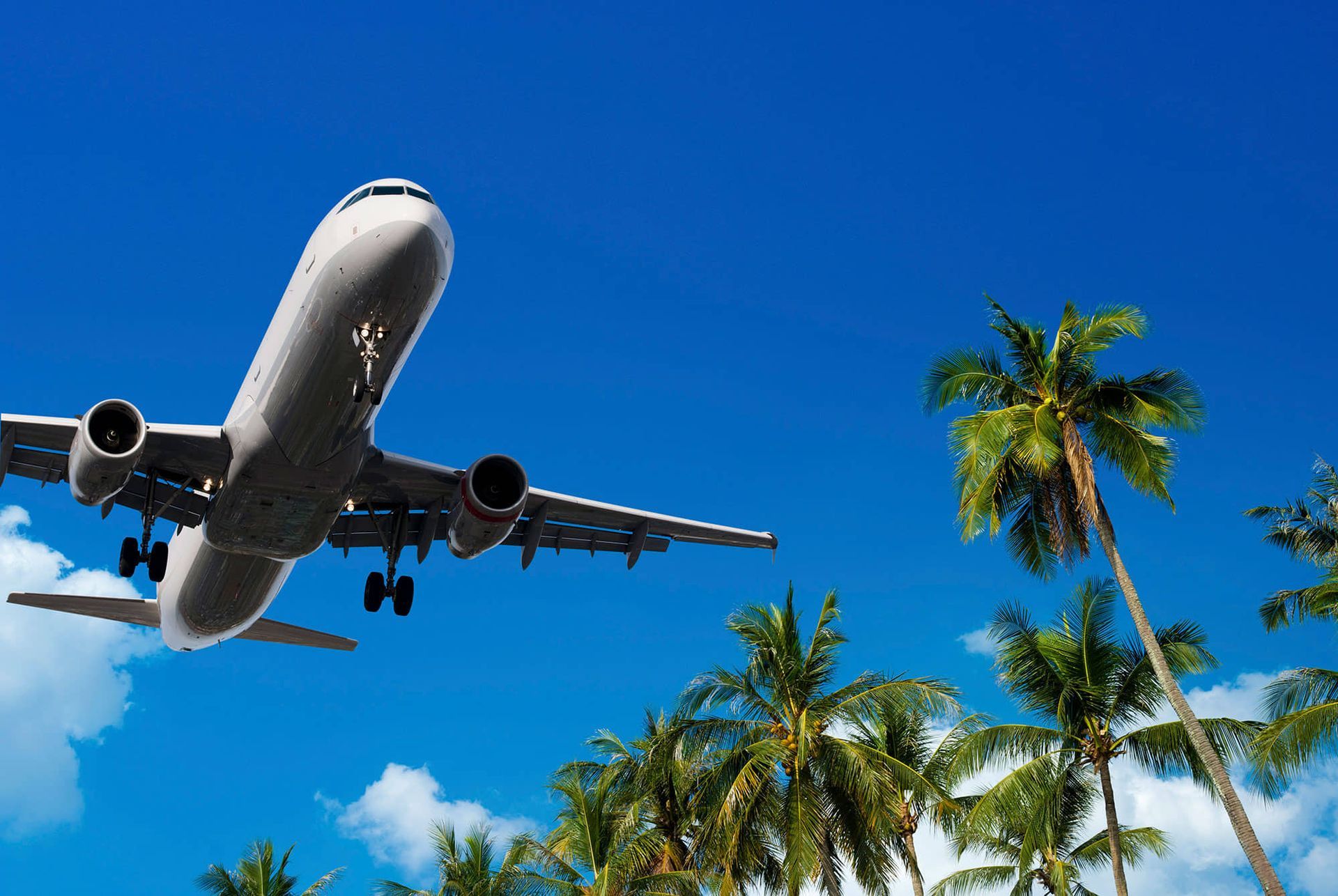 VIAJES AMERICAN TOURS SA DE CV