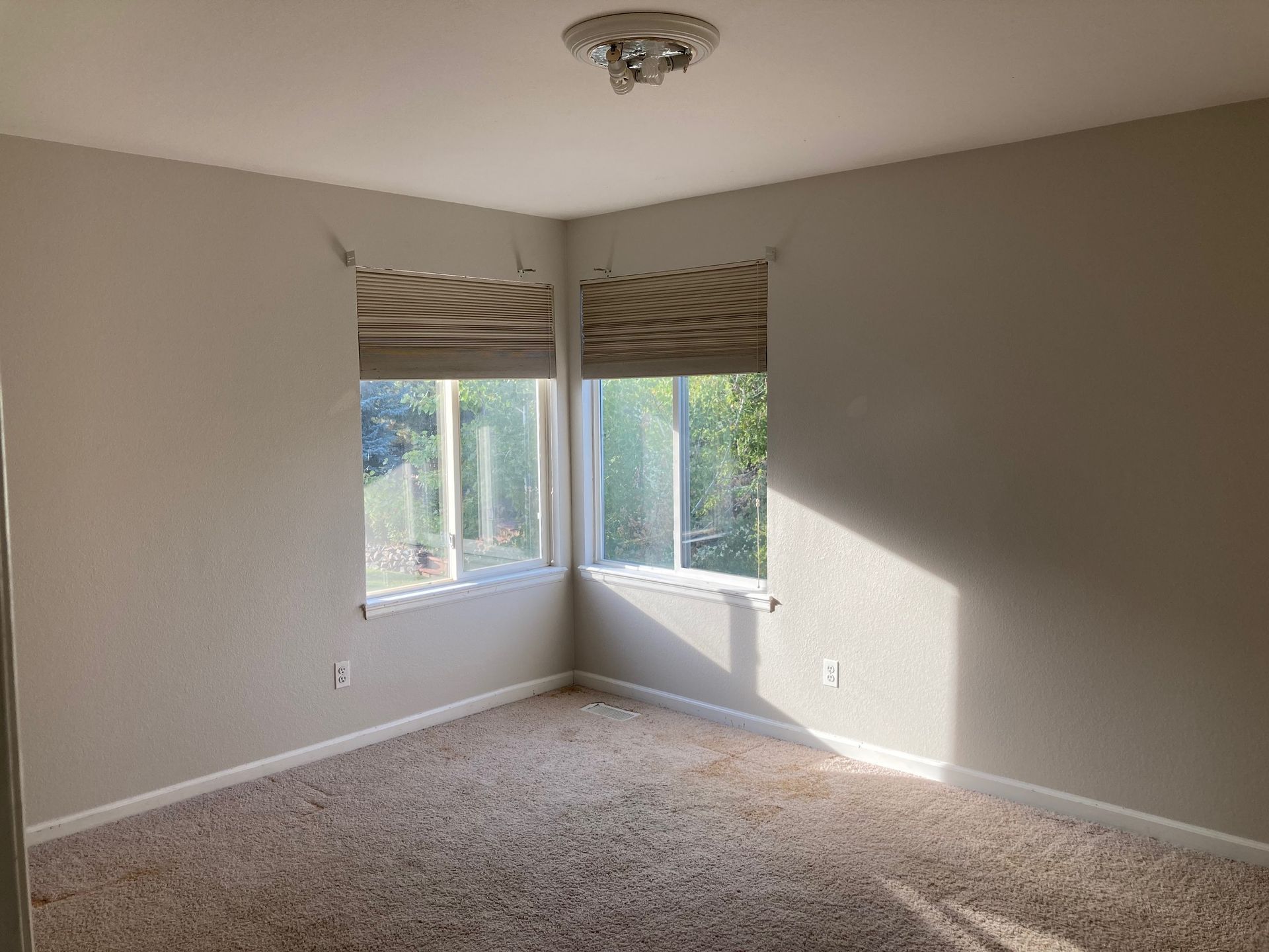 Empty room with two windows, tan walls, and beige carpet. Sunlight streams through the windows.