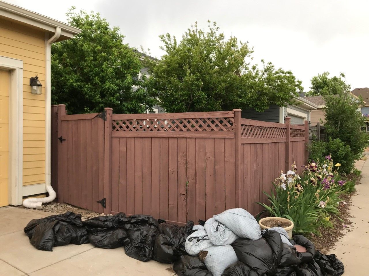 Backyard with brown wooden fence, yellow house wall, shrubs, and piles of black and gray yard-waste bags