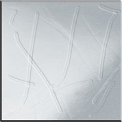 White abstract image with faint embossed lines and geometric shapes on a light gray background