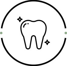 An illustration of a tooth
