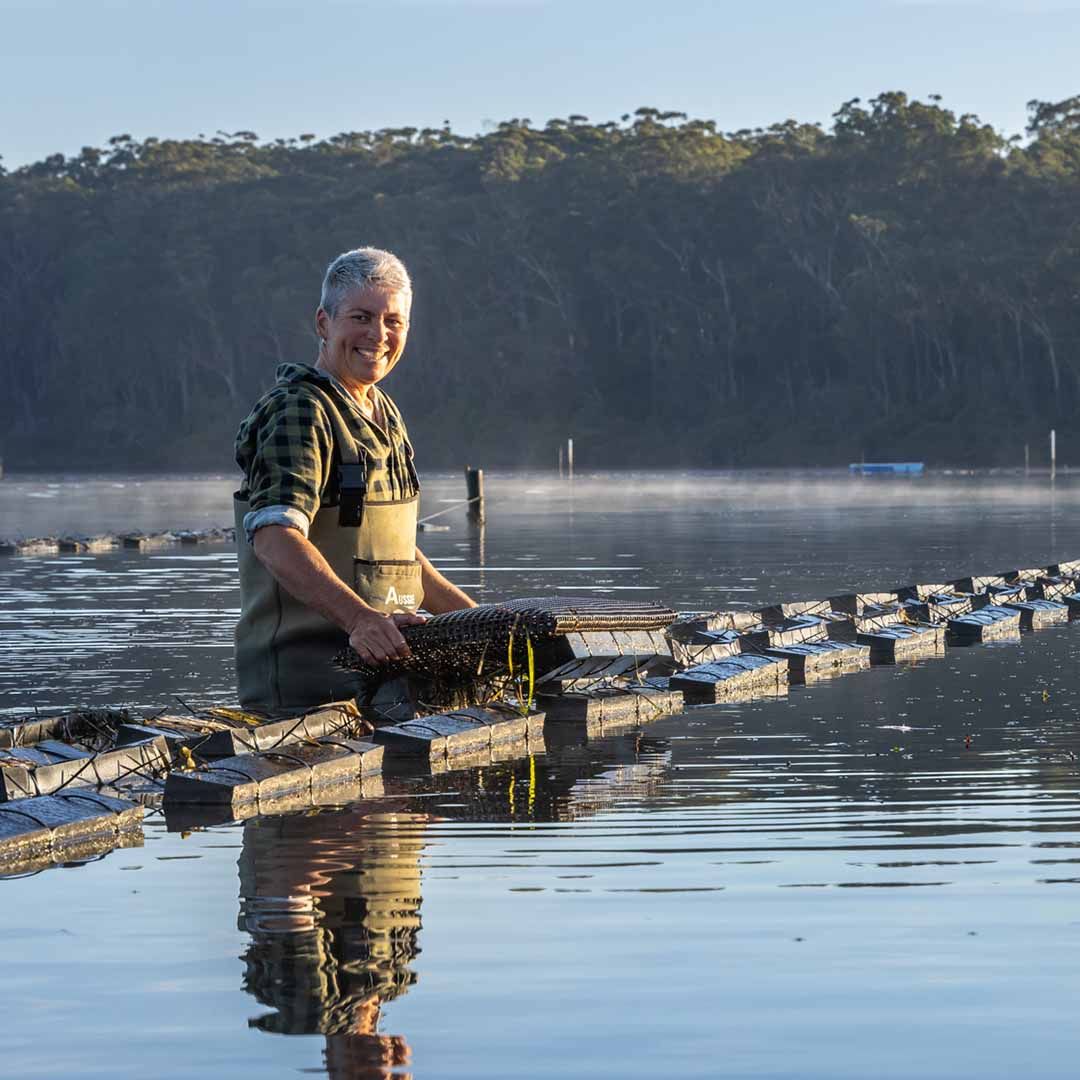 Sydney Rock Oyster Farmers, Pambula Lake NSW